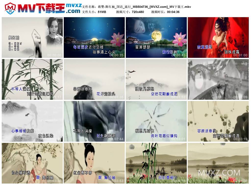 蒋婴-舞红袖_国语_流行_MB504736